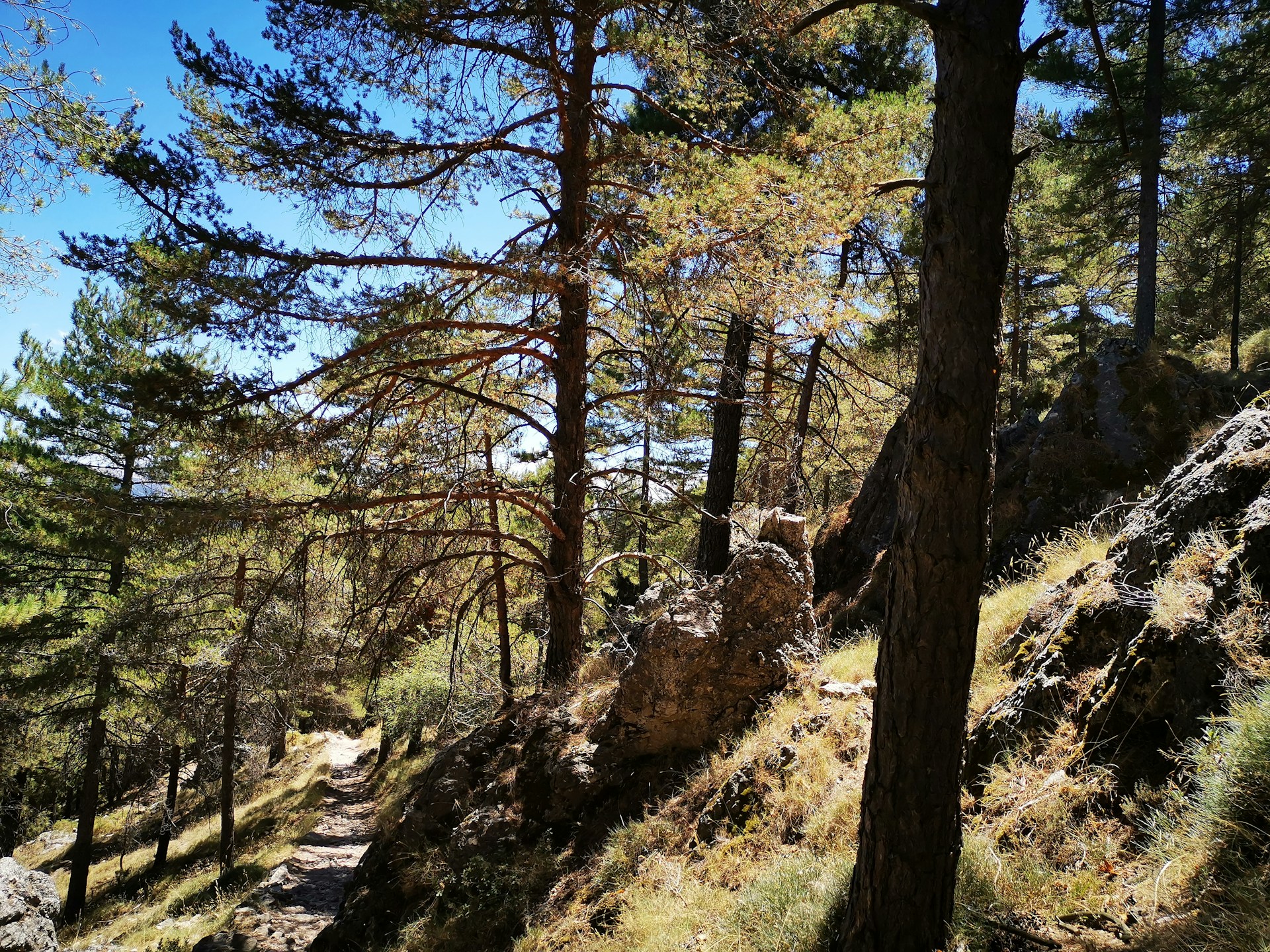 Escursioni sui monti Troodos